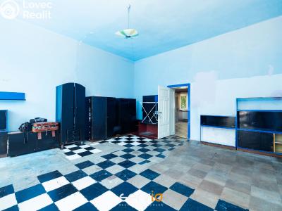 Sale apartment 3+1 Hrušovany u Brna, Loosova č. 2