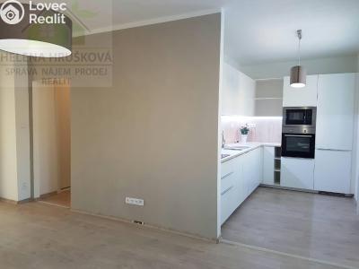Pronájem bytu 2+1 Ostrava, Gen. Sochora č. 1