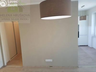 Pronájem bytu 2+1 Ostrava, Gen. Sochora č. 4