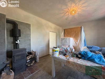 Prodej rodinného domu Staňkov, Jiráskova 306 č. 8