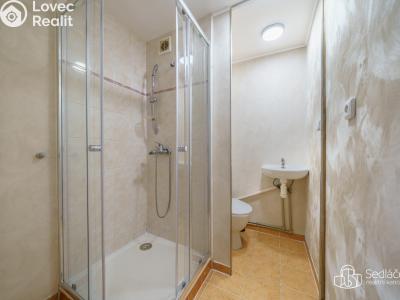 Аренда квартиры 1+1 Sokolov, Jelínkova č. 8