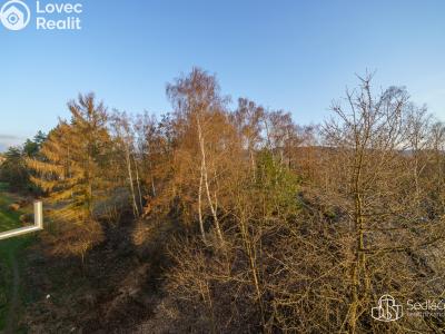 Аренда квартиры 1+1 Sokolov, Jelínkova č. 17