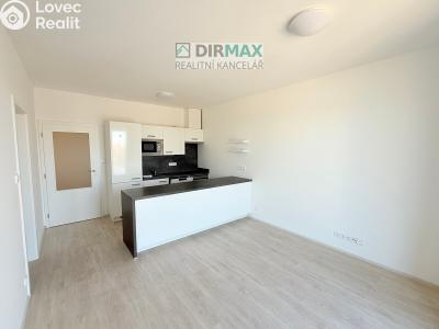 Аренда квартиры 2+KK Plzeň, Otýlie Beníškové č. 2