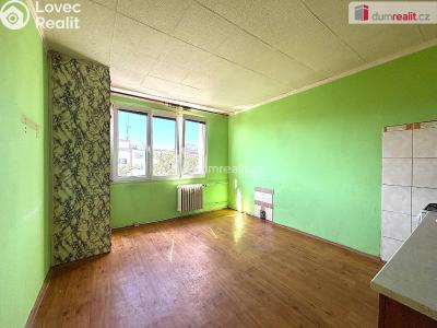 Sale apartment 1+1 Sokolov, Mánesova č. 3