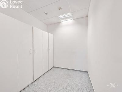 Rent office space Praha, Na strži č. 18