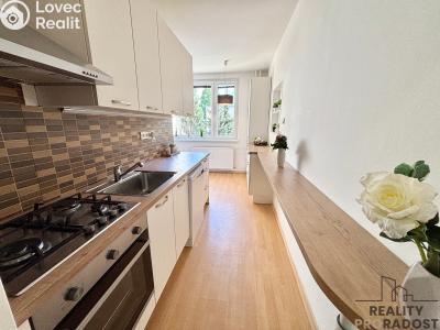 Sale apartment 3+1 Olomouc, Kmochova č. 14