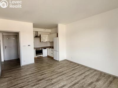 Аренда квартиры 2+KK Chlumec nad Cidlinou, Rooseveltova č. 1