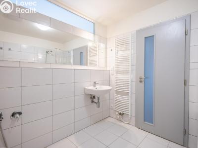 Аренда квартиры 2+KK Chlumec nad Cidlinou, Rooseveltova č. 7