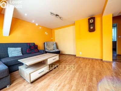 Продажа квартиры 3+1 Teplice, Duchcovská č. 5