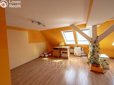 Продажа квартиры 3+1 Teplice, Duchcovská č. 11