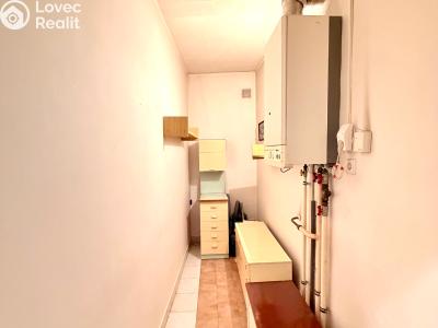 Prodej rodinného domu Planá, Na Příkopech 146 č. 28