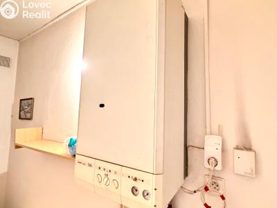 Prodej rodinného domu Planá, Na Příkopech 146 č. 29