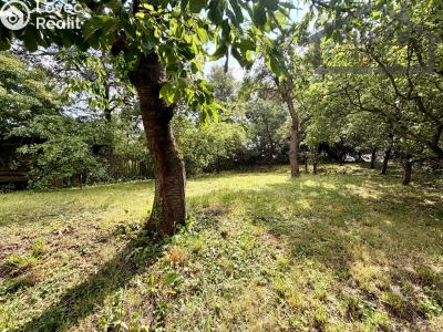 Prodej rodinného domu Planá, Na Příkopech 146 č. 62