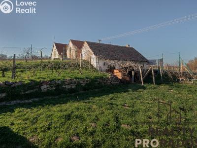 Продажа винного погреба Strachotice č. 10