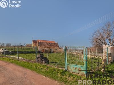 Продажа винного погреба Strachotice č. 12