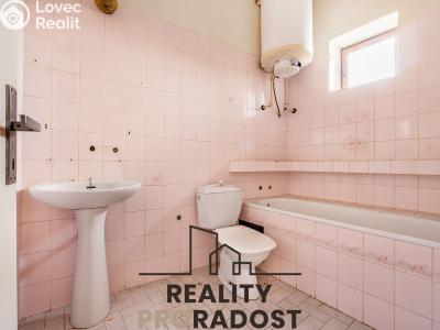Продажа гостиницы Znojmo, Zelenářská č. 19