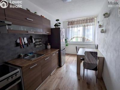 Pronájem bytu 3+1 Krupka, Dukelských hrdinů 279 č. 6