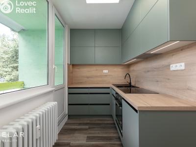 Sale apartment 1+1 Opava, Zeyerova č. 7