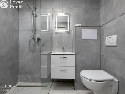 Sale apartment 1+1 Opava, Zeyerova č. 12