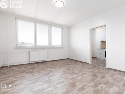 Prodej bytu 2+1 Ostrava, Dolní č. 1
