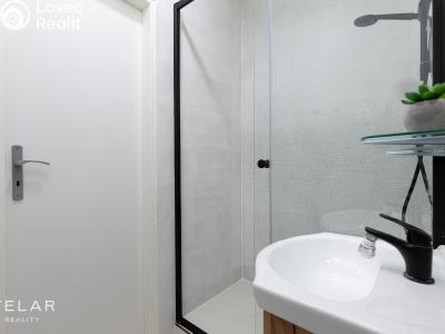 Prodej bytu 2+1 Ostrava, Dolní č. 11