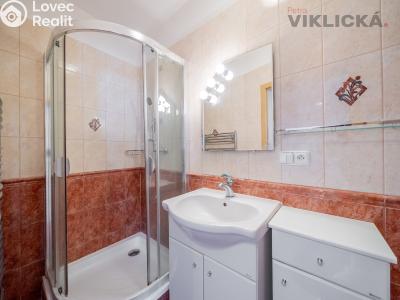 Продажа семейного дома Brno, Hálkova č. 25