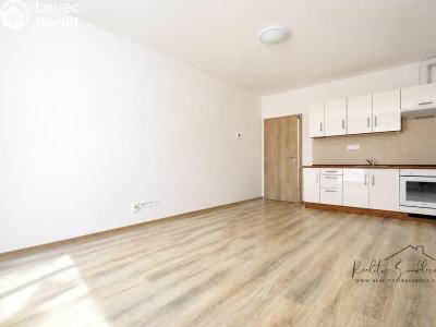 Rent apartment 1+KK Olomouc, Frištenského č. 2