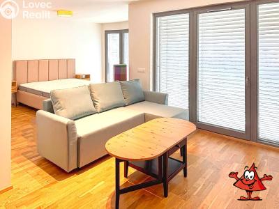 Аренда квартиры 1+KK Praha, Breitfeldova č. 5
