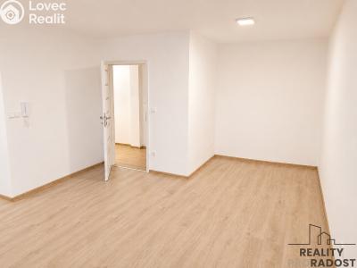 Rent apartment 1+KK Velká nad Veličkou č. 2