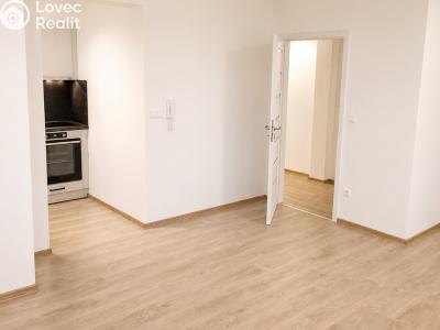 Rent apartment 1+KK Velká nad Veličkou č. 3