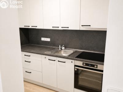 Rent apartment 1+KK Velká nad Veličkou č. 4