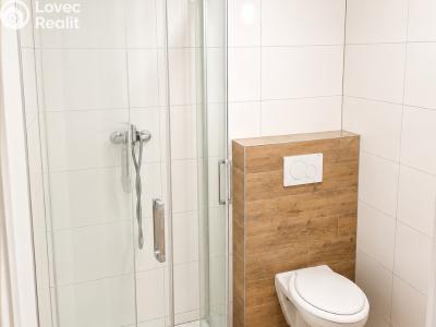 Rent apartment 1+KK Velká nad Veličkou č. 5