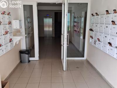 Rent apartment 1+KK Velká nad Veličkou č. 6