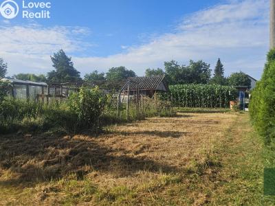 Sale hut Bor, Zahradní 574 č. 5