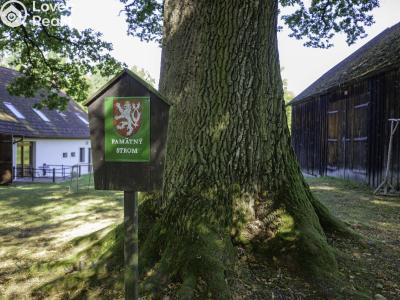 Prodej ubytovacího zařízení Rodvínov č. 45