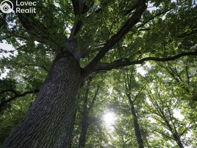 Prodej ubytovacího zařízení Rodvínov č. 46