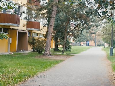 Prodej bytu 1+1 České Budějovice, K. Šafáře č. 11