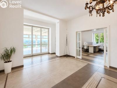 Rent villa Praha 5 č. 13