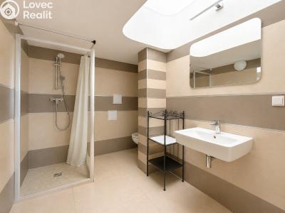 Rent villa Praha 5 č. 18
