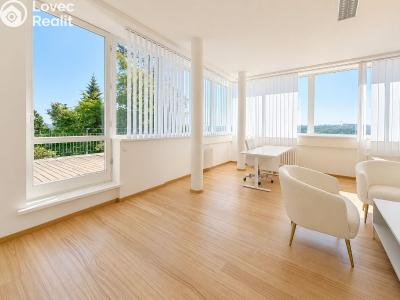 Rent villa Praha 5 č. 30