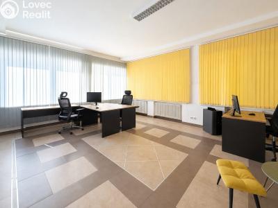 Rent villa Praha 5 č. 32