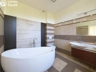 Rent villa Praha 5 č. 46