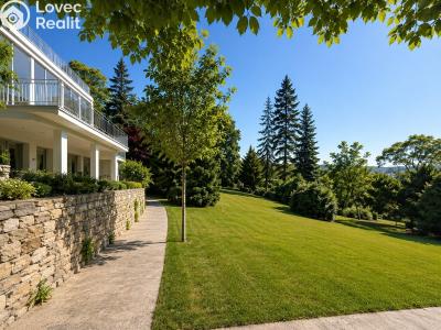 Rent villa Praha 5 č. 58