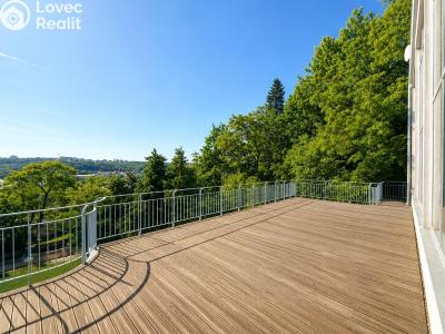 Rent villa Praha 5 č. 61