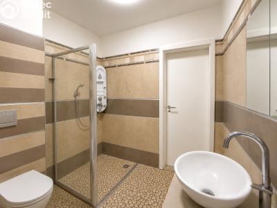 Rent villa Praha 5 č. 62