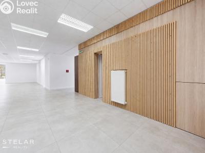 Pronájem obchodního prostoru Opava, Rybářská č. 6