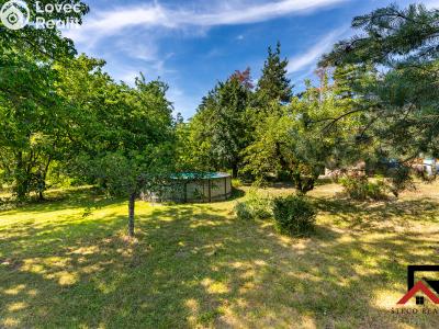 Sale hut Třebíč č. 15