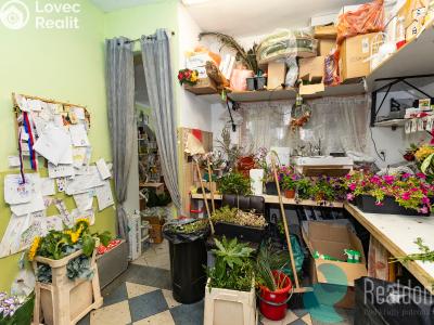 Pronájem obchodního prostoru Trhové Sviny, Žižkovo náměstí č. 9