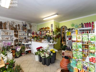 Pronájem obchodního prostoru Trhové Sviny, Žižkovo náměstí č. 10