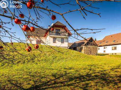 Prodej rodinného domu Horní Stropnice č. 29